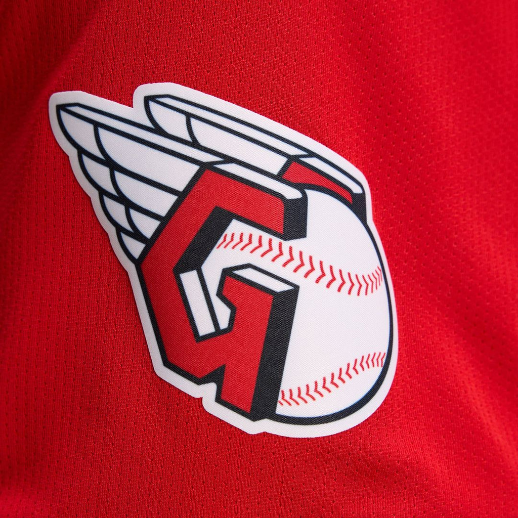 Cleveland Guardians Road Limited Jersey (Gray)