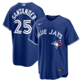 Toronto Blue Jays Anthony Santander Alternate Replica Jersey (Royal)